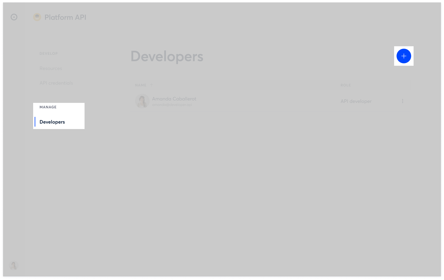 The Developers section is where admins can assign a developer special permission to existing users