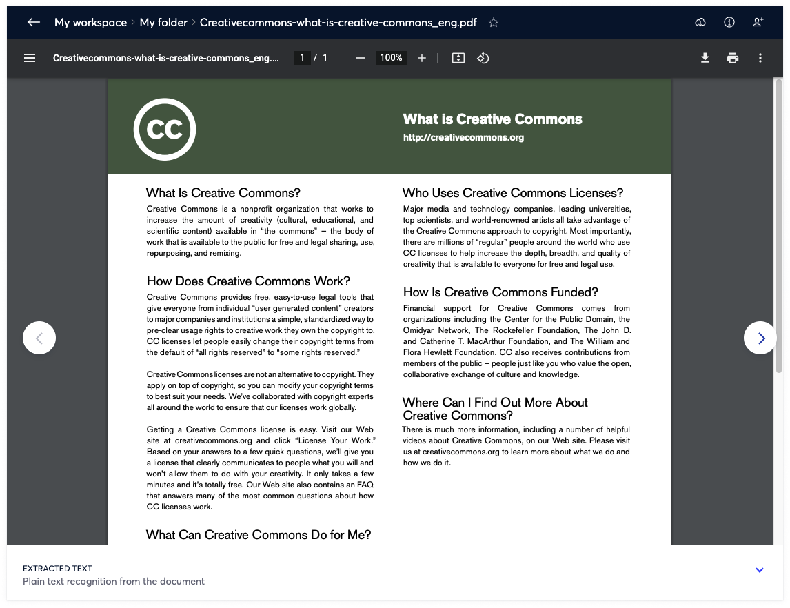 Screenshot of the PDF preview in the UI